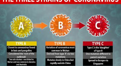 coronavirus types