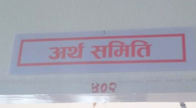 ५ सार्वजनिक संस्थानको अध्ययन गर्न उपसमिति गठन, ४ महिनाभित्र अर्थसमितिलाई सुझाव दिने