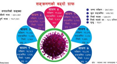 Corona Graph in nepal