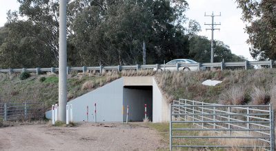 cattle-underpass